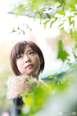 手机成人在线