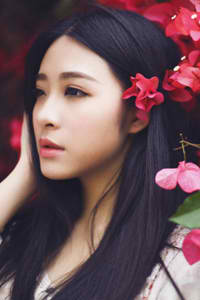 百万新娘爱无悔粤语
