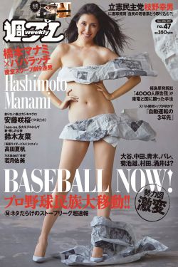 史密斯夫妇h版